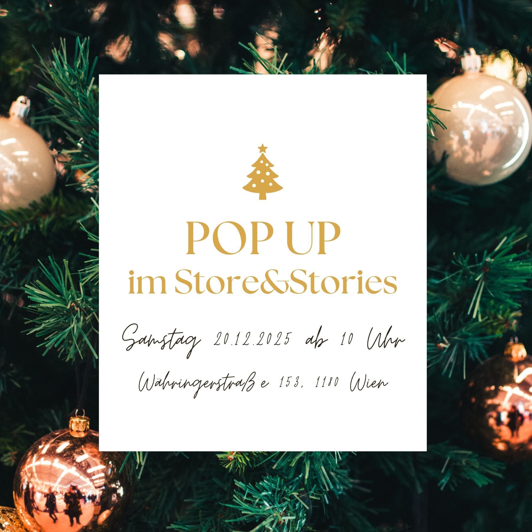 🎄 POP UP im Store & Stories